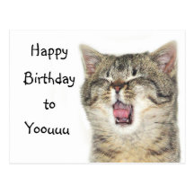 Chaton de joyeux anniversaire cartes postales