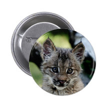 Chaton de Lynx de Canadien Badge Avec Épingle