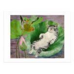 chaton de sommeil carte postale