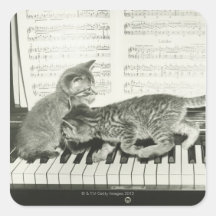 Chaton deux jouant sur le clavier de piano, (B&W) Stickers Carrés