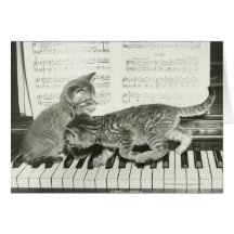Chaton deux jouant sur le clavier de piano, (B&W) Cartes De Vœux