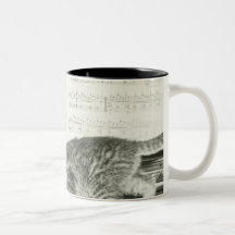 Chaton deux jouant sur le clavier de piano, (B&W) Tasse À Café