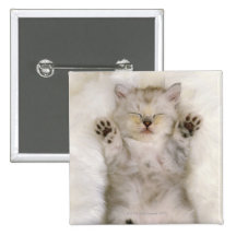 Chaton dormant sur un tapis pelucheux blanc, haut pin's