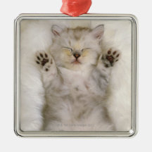Chaton dormant sur un tapis pelucheux blanc, haut décorations de noël