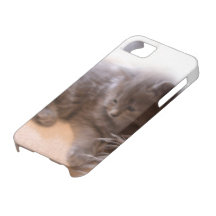 Chaton gris aux cheveux longs mignon du © P Wherre Coque iPhone 5