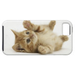 Chaton mignon coques Case-Mate iPhone 5