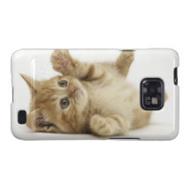 Chaton mignon coques samsung galaxy SII