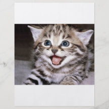 Chaton mignon prospectus personnalisés