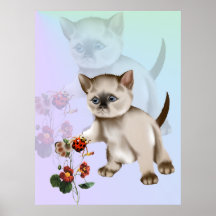 Chaton siamois CONTRE l'affiche de coccinelle
