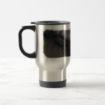 Chatons de CATC chez The Creek Tasse