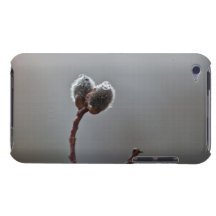 Chatons de saule après pluie de ressort coque iPod touch 