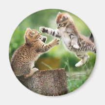 Chatons norvégiens de forêt magnets pour réfrigérateur