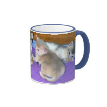 Chatons six Abyssiniens de semaines Mug À Café