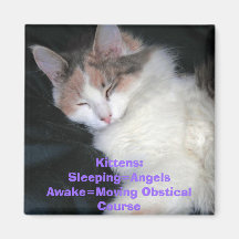 Chatons : Sleeping=AngelsAwake=Moving Obstical Co… Magnets Pour Réfrigérateur
