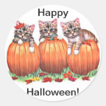 Chatons sur des citrouilles pour des autocollants 