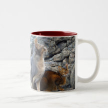 Chats abyssiniens frère et soeur tasse