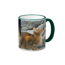Chats abyssiniens tasse