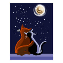Chats d'amour cartes postales