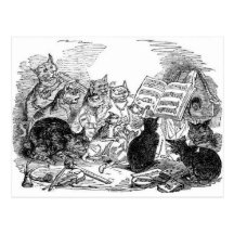 Chats de chant de cru cartes postales