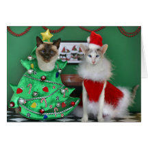 Chats de Noël Carte De Vœux