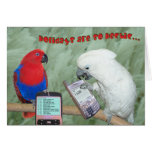 Chatting Card