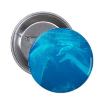 Chatting Dolphin Pair Button