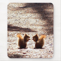Chatting in the Park Mouse Pads