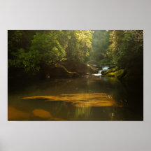 Chattooga River at Dawn Posters