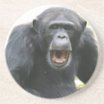 Chatty Chimpanzee Plate Beverage Coaster