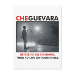 Che Guevara Products & Designs! Post Cards