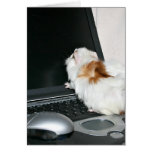 Checking email card
