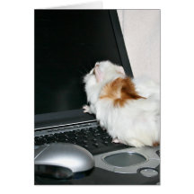 Checking email card