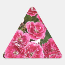 Cheddar Pinks Triangle Stickers