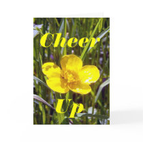 Cheer Up Buttercup Greeting Card