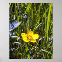 Cheer Up Buttercup Poster