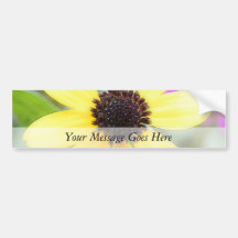 Cheerful Black Eyed Susan Bumper Stickers