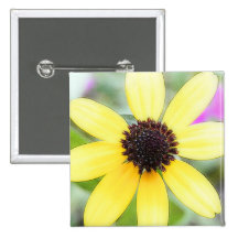 Cheerful Black Eyed Susan Pinback Button
