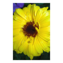 Cheerful Bright Calendula Custom Stationery