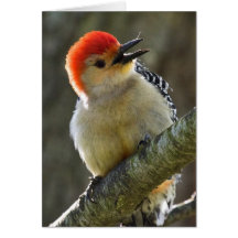 Cheerful Greeting Greeting Card