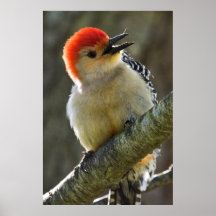 Cheerful Greeting Poster