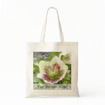 Cheerful Hellebores In The Spring Garden Bags