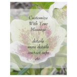 Cheerful Hellebores In The Spring Garden Custom Flyer