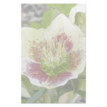 Cheerful Hellebores In The Spring Garden Personalized Stationery