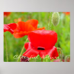 Cheerful Nature art print Red Oriental Poppies