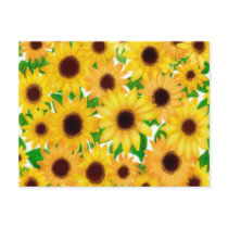 Cheerful Sunflowers 2010 Pocket Calendar Postcard