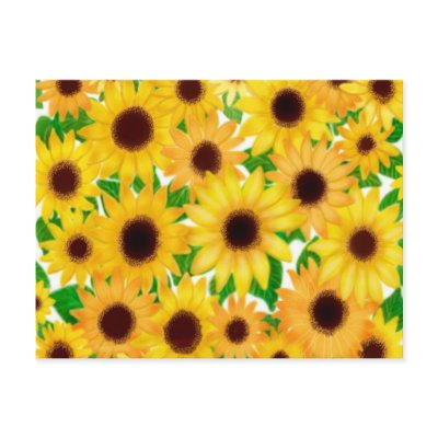 Cheerful Sunflowers 2010 Pocket Calendar Postcard by twopurringcats