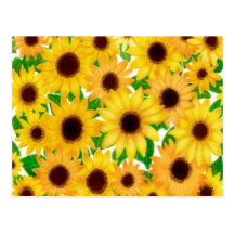 Cheerful Sunflowers 2010 Pocket Calendar Postcard