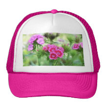 Cheerful Sweet William Flowers Hats