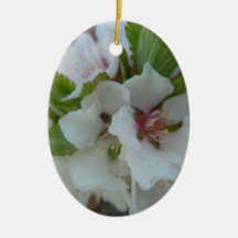 Cheerful White Apple Blossom Christmas Ornament