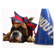 Cheerleader boxer postcard